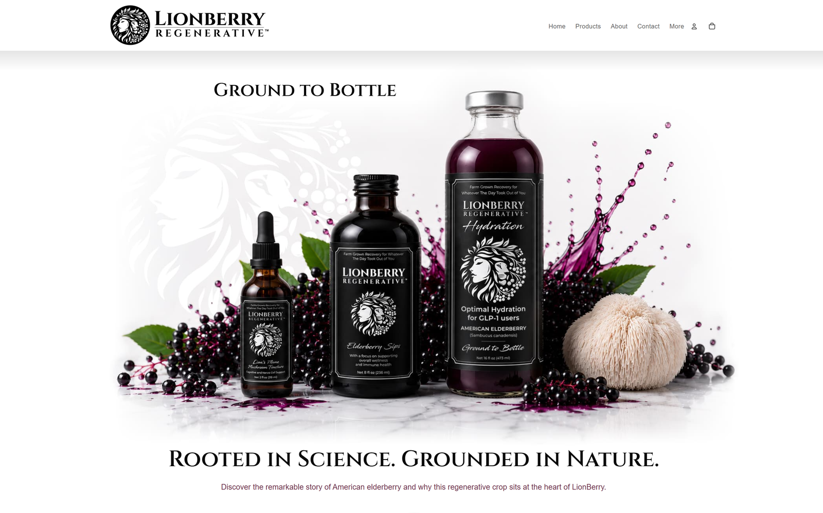 LionBerry Regenerative website, identity, packaging and elderberry products