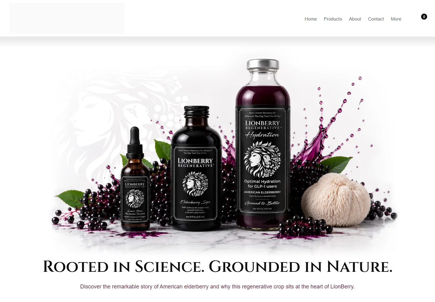 LionBerry Regenerative website homepage