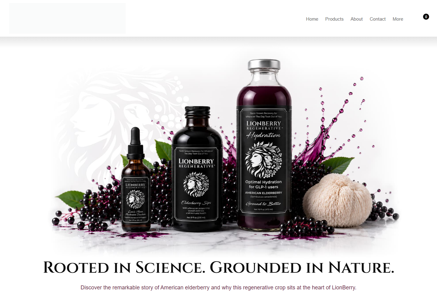 LionBerry Regenerative website homepage